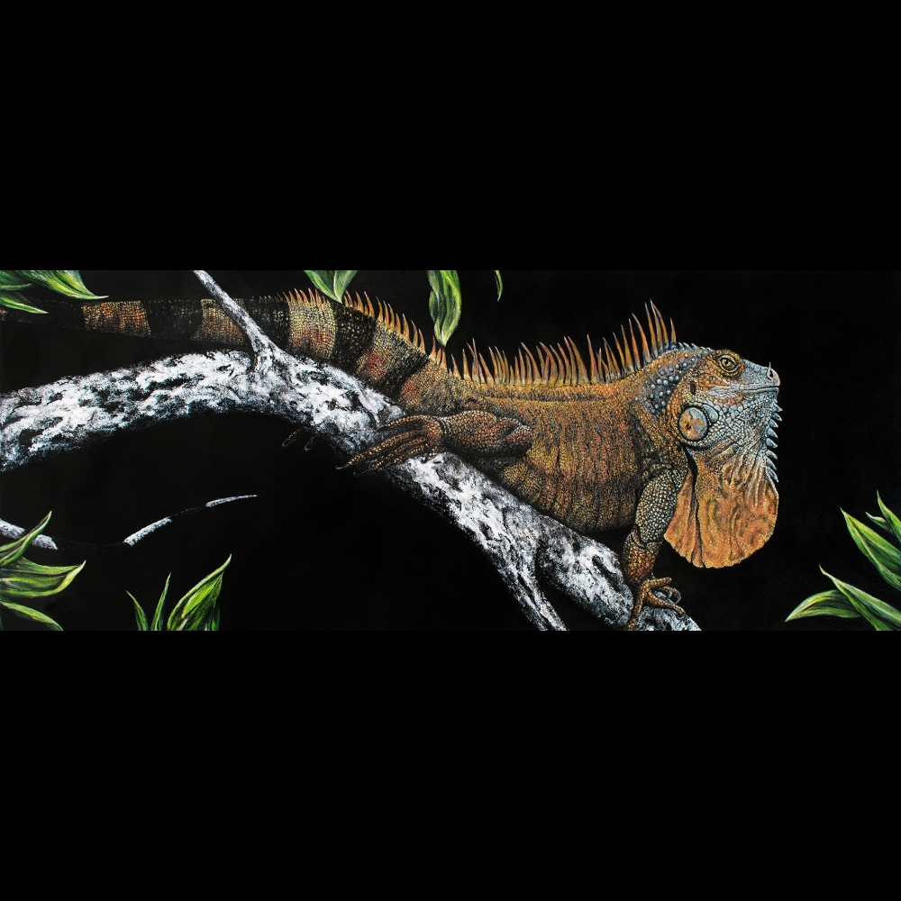 Iguana

Acrylic on canvas

40&amp;quot; x 16&amp;quot; x 1.5&amp;quot;

2020