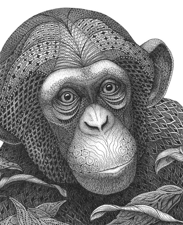 Chimpanzee ink on acid free paper