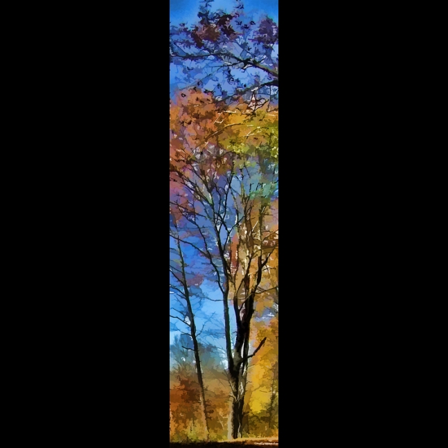 Fall Forest Digital Art